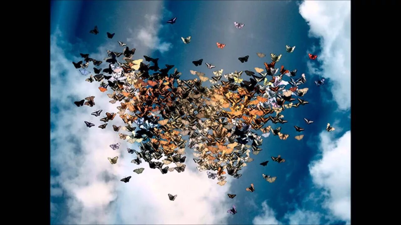 Предательство вывод для сочинения. Фото картинки со смыслом. Каждый человек уникален и неповторим по своему. Каждый человек уникален. Каждый уникален по своему.