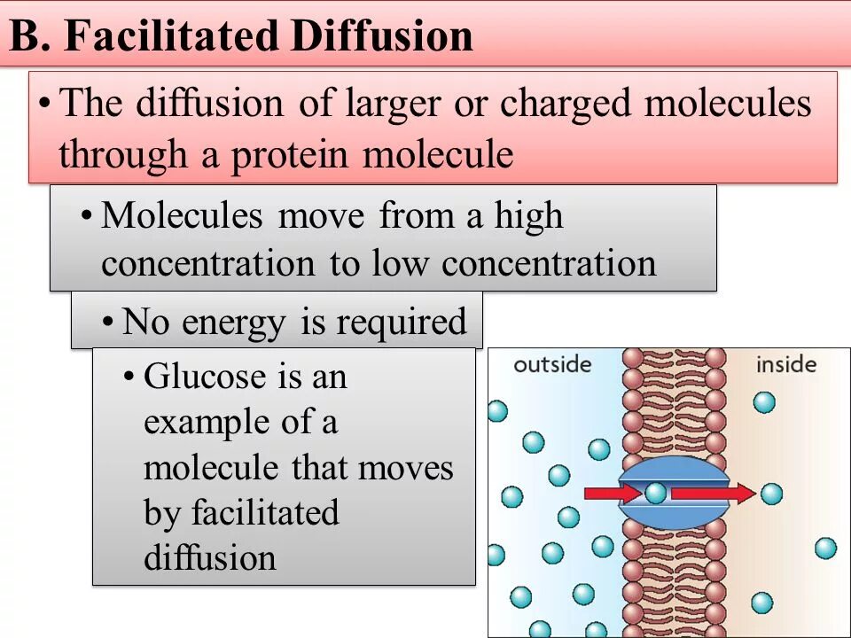 Stable diffusion control. Facilitated diffusion. Diffusion examples. Unstable diffusion. Diffusion Definition.