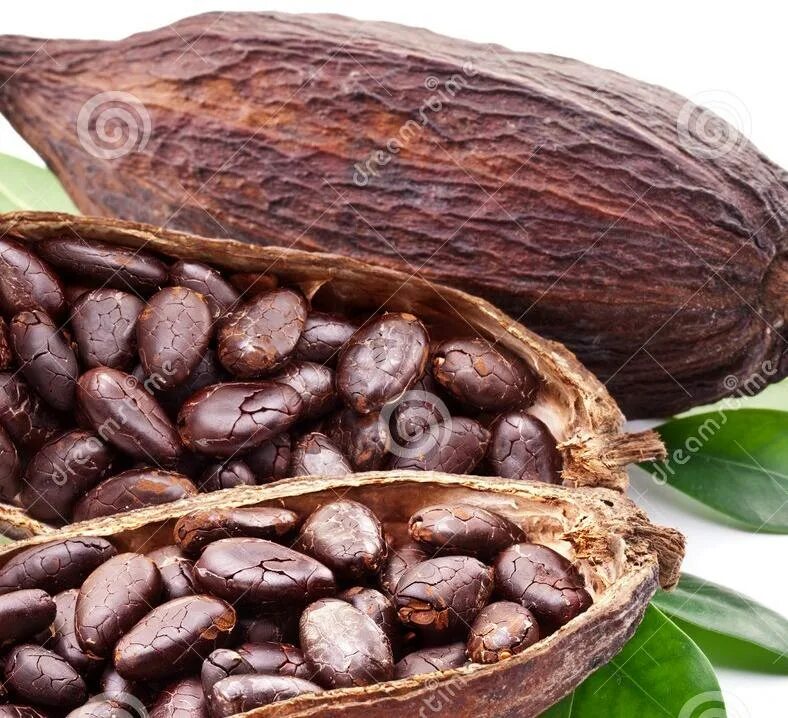 Walnuts in cocoa Roasted nuts, Low carb treats