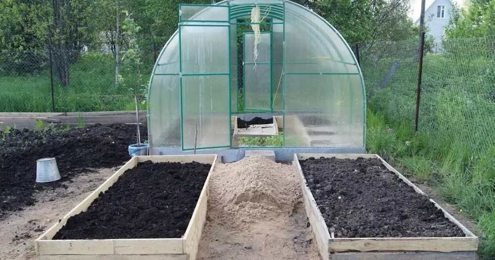 Теплица зимой. Грунт для теплицы. Грядки вокруг теплицы. Зимняя теплица. Теплица с помидорами.