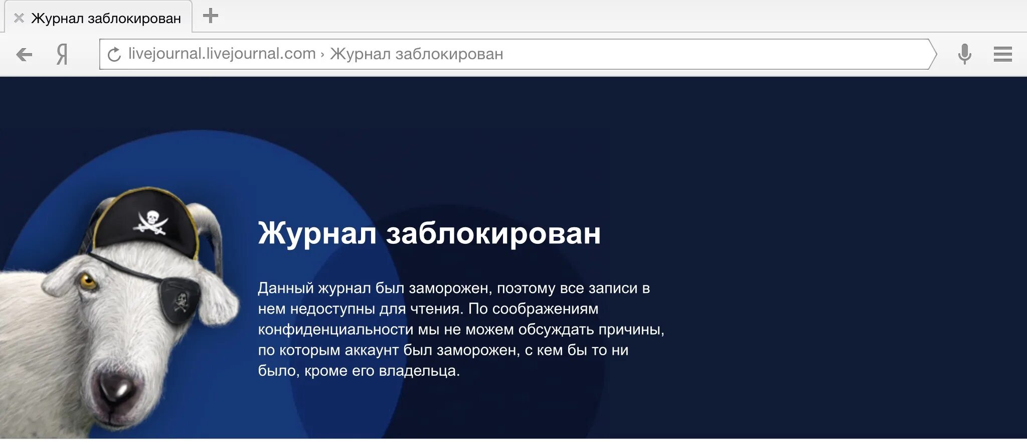 Skazu livejournal