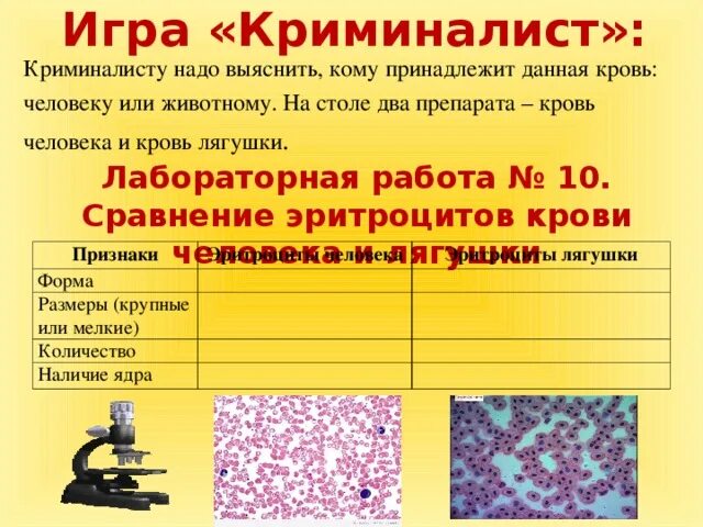 Лабораторная работа сравнение крови лягушки и человека