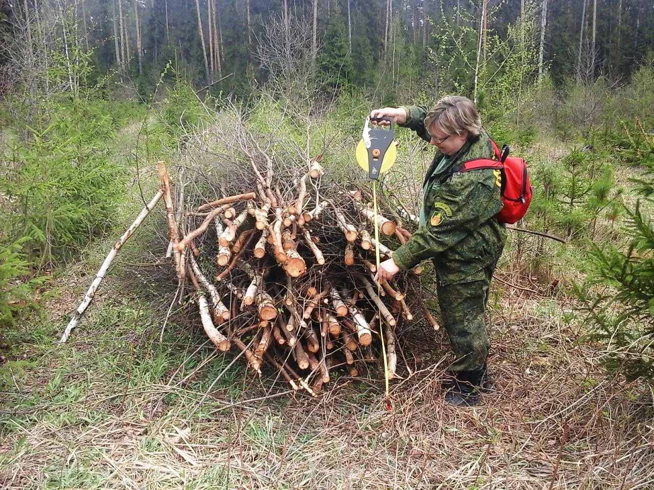 Спелые перестойные лесные насаждения