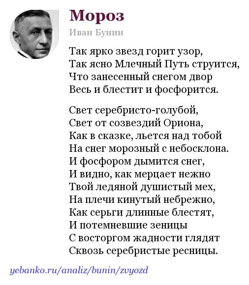 Бунин биография произведения. Образ звезды в русской литературе. Бунин звезда. Бунин звезда. Не устану воспевать вас звезды бунин.