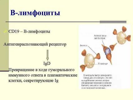 Ход трансформации
