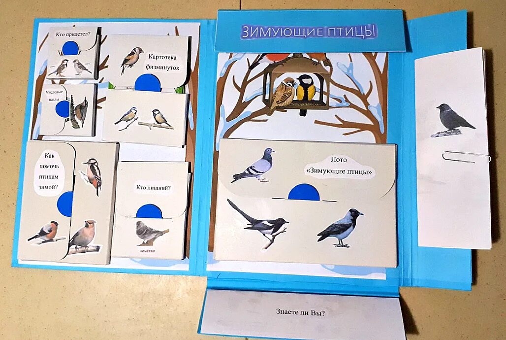 Лэпбук перелетные птицы для дошкольников. Лэпбук птицы. Лепбуки зимующие птицы. Лепбукзимующих птицах для дошкольников.