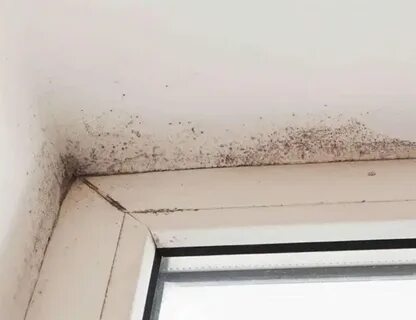 Как избавиться от конденсата на окнах