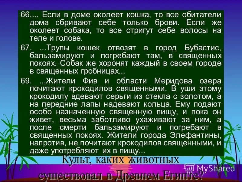 основная мысль каждый обитатель нашего дома знал. текст публицистического стиля. каждый обитатель нашего дома знал насколько уродливый был уродлив. сочинение образ матрены.