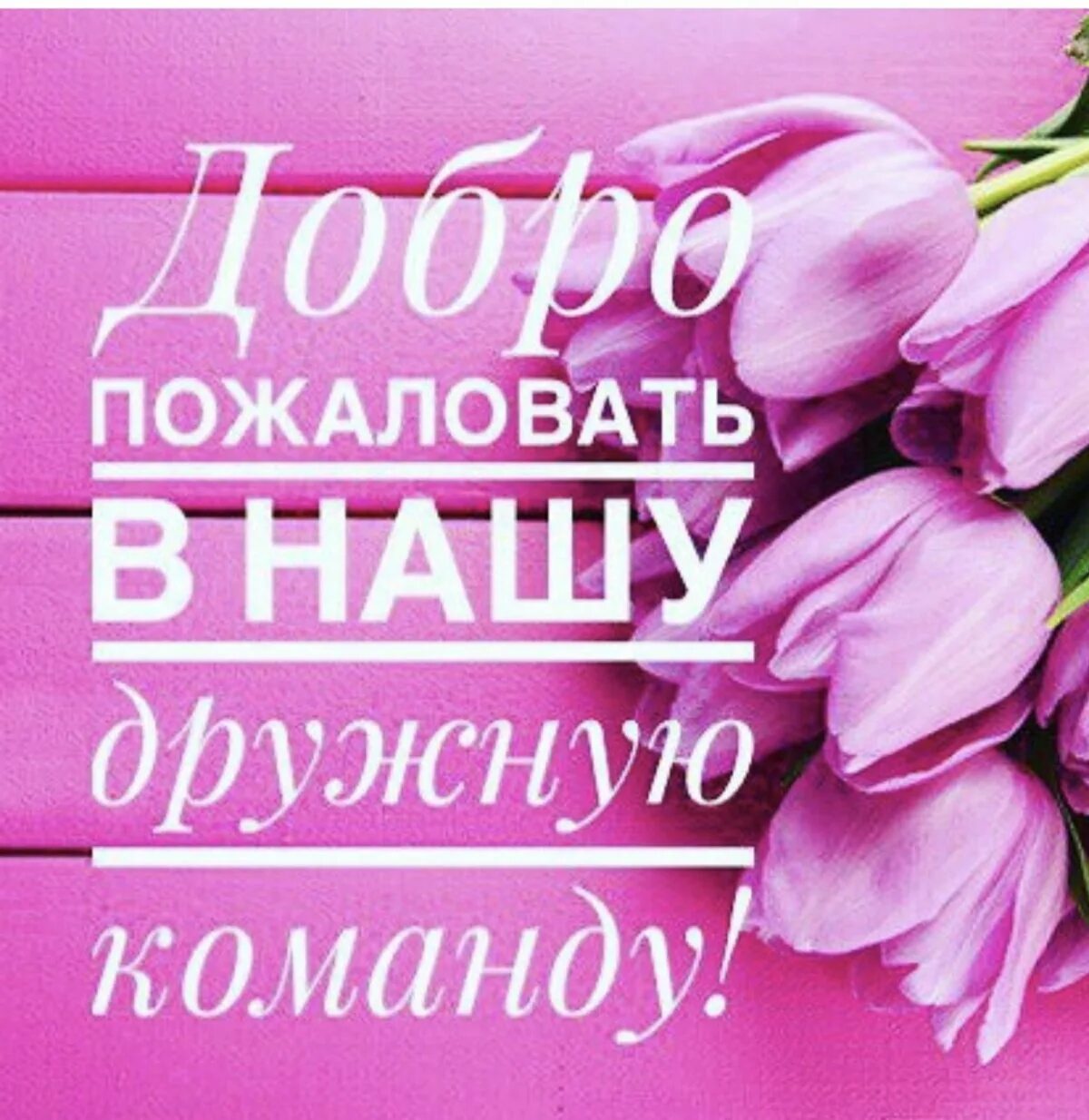 Картинка доброе чат