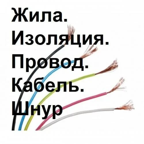 Шнуров отличился