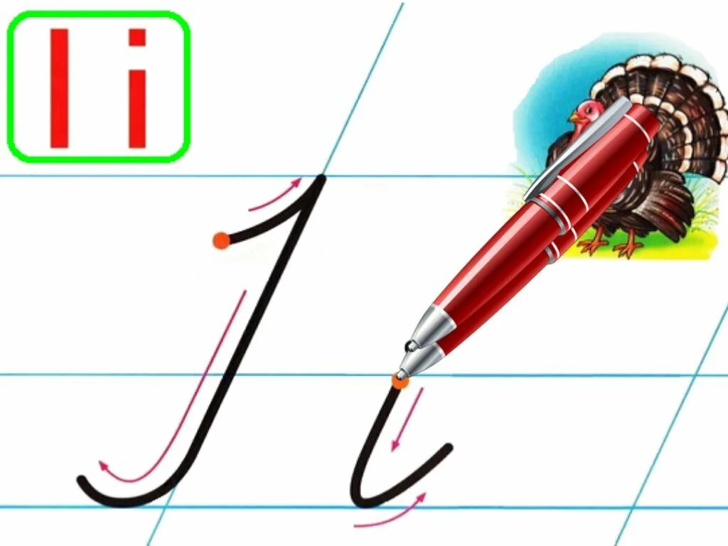 Прописная буква и строчная буква. Правописание прописных букв 1 класс. Пиши правильно. Правописание букв для первого класса. Буква ж прописная и печатная.