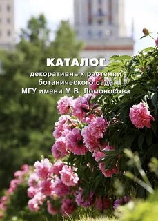 Сад мгу саженцы