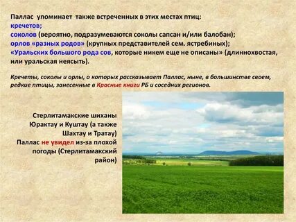 Также упомянула