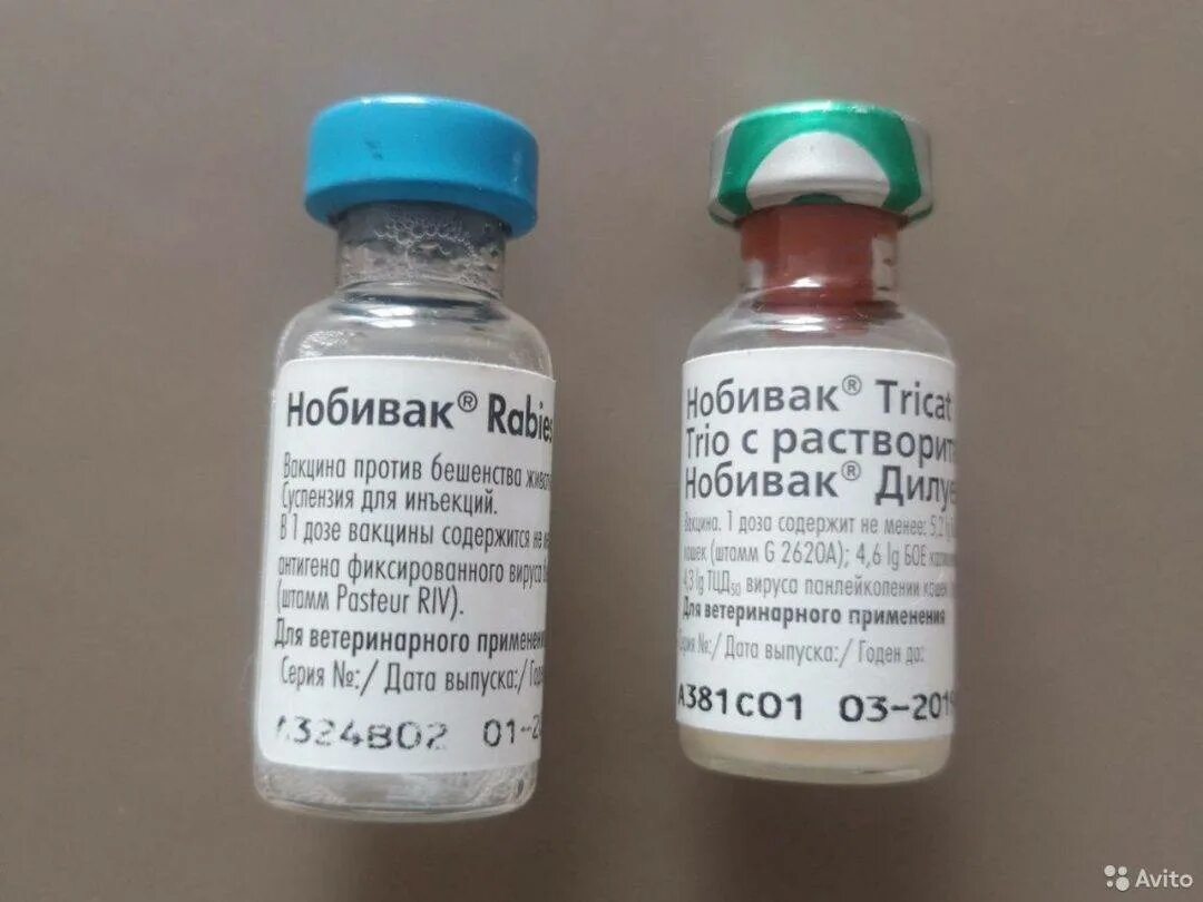 Вактовир. Вакцина для кошек нобивак tricat trio и рабиес. Прививки акдс прививки корь. Специфическая профилактика дифтерии анатоксином. Сертификат прививок.