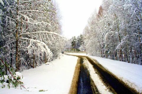 Граница зимой