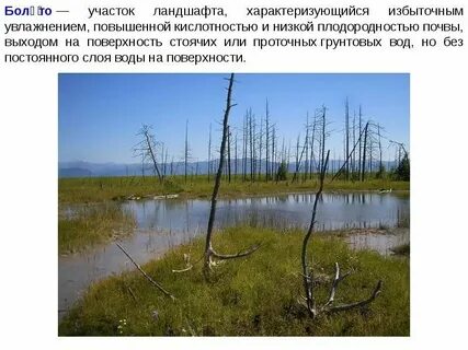 Болото это естественное искусственное или пресное