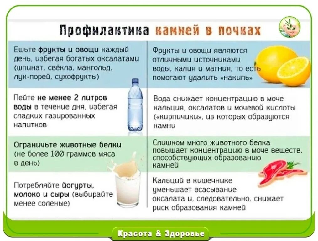 Какие продукты нельзя при камнях в почках. Памятка по питанию с мочекаменной болезнью. заболевание почек профилактика мочекаменная болезнь. профилактика камней випочках. профилактика при мочекаменной болезни почек.