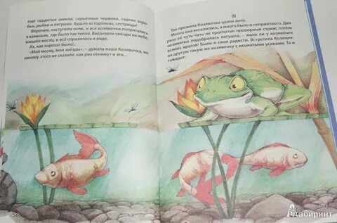 Читательский дневник мамин сибиряк аленушкины