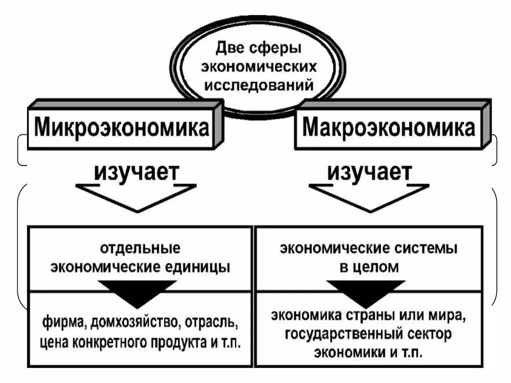 Структура экономической теории схема. Схема экономической теории макроэкономика Микроэкономика. Структура экономики Микроэкономика макроэкономика. Два уровня экономического анализа Микроэкономика макроэкономика.