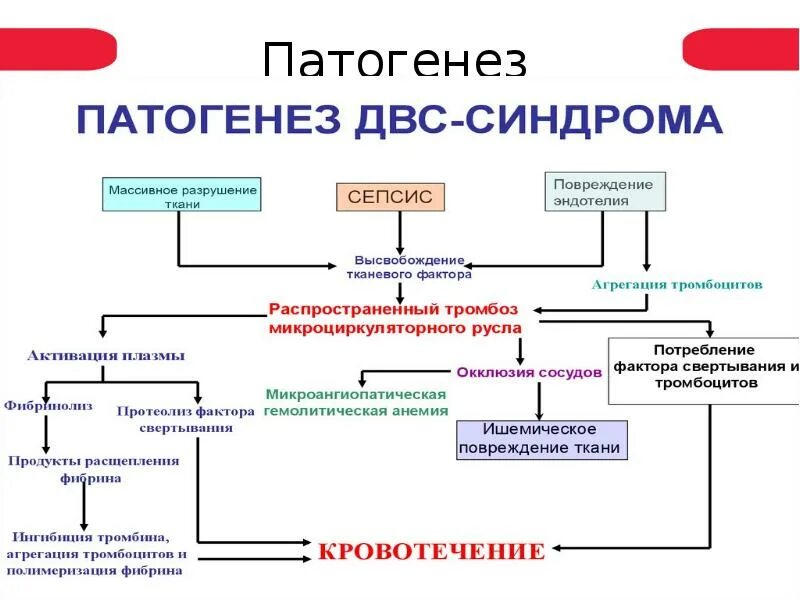 Уровни патогенеза