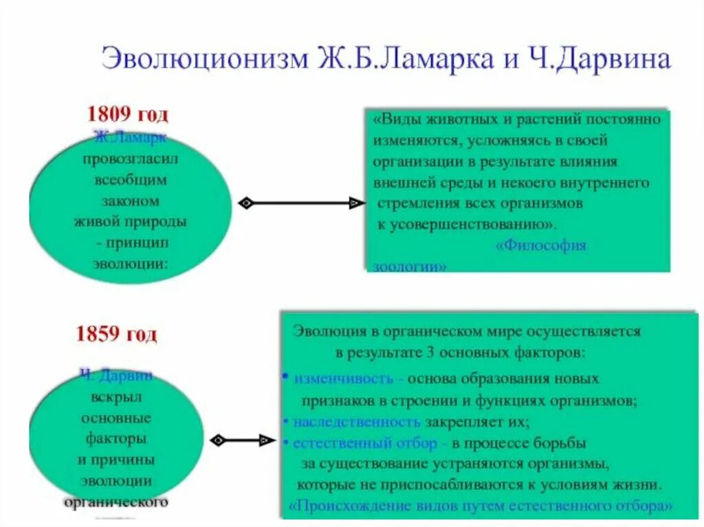 Почему теория дарвина убедительнее теории ламарка. Идеи Ламарка и Дарвина. Теория Дарвина и Ламарка. Эволюционизм это в биологии кратко. Эволюционизм о природе человека..