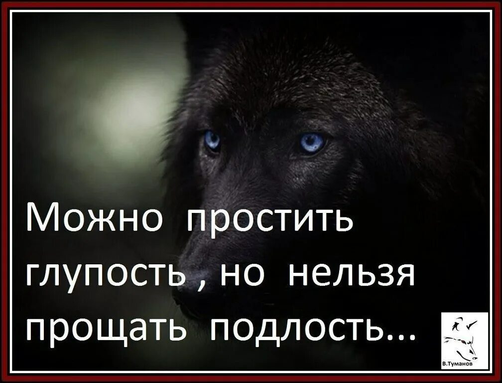 Нельзя глупо. Нельзя прощать прпдатедь. Прощать нельзя цитаты. Чтотнельзя простить человеку. Простить цитаты.