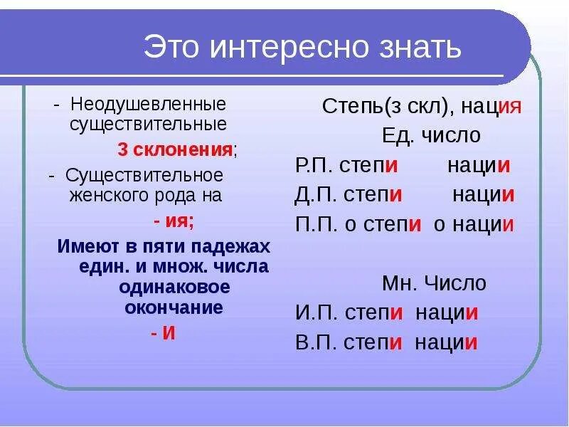 Слово женского рода множественного числа. Имя существительное. Склонение имен существительных. Род число падеж существительных.