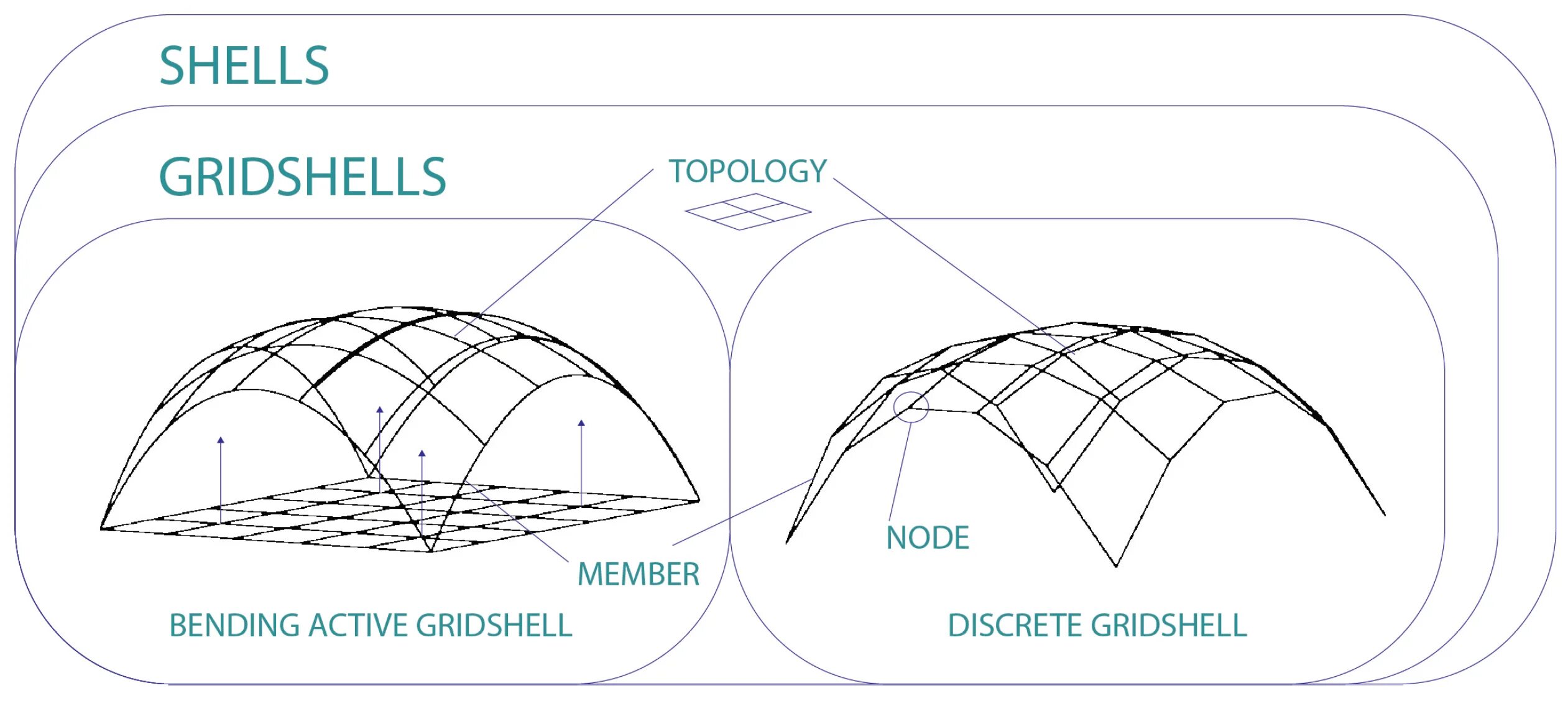 Shell structure. Gridshell.