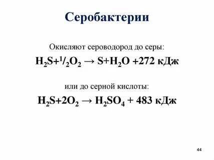 Хемосинтез реакции
