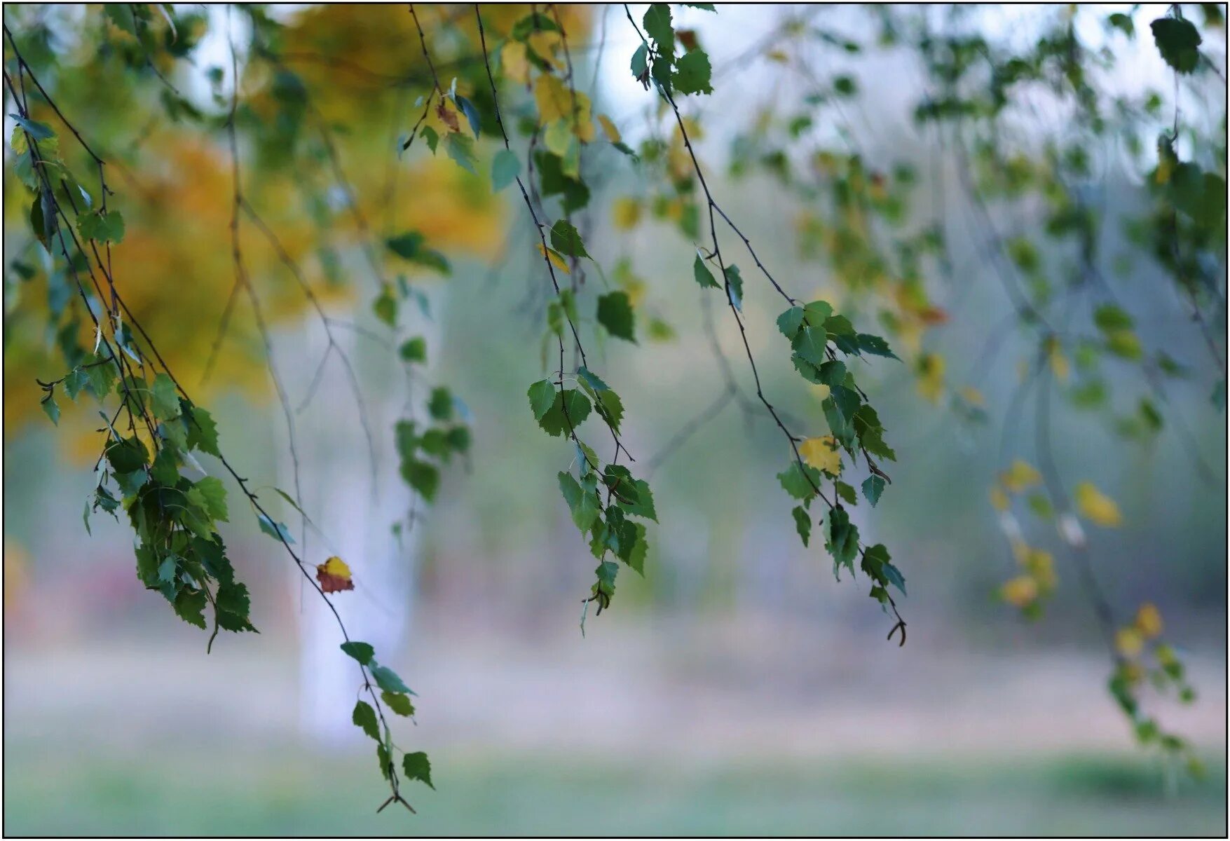 доброе утро до свидания лето. стихи про конец августа. до свидания лето здравствуй детский сад. до свидания лето картинки. песня досвидание лето.