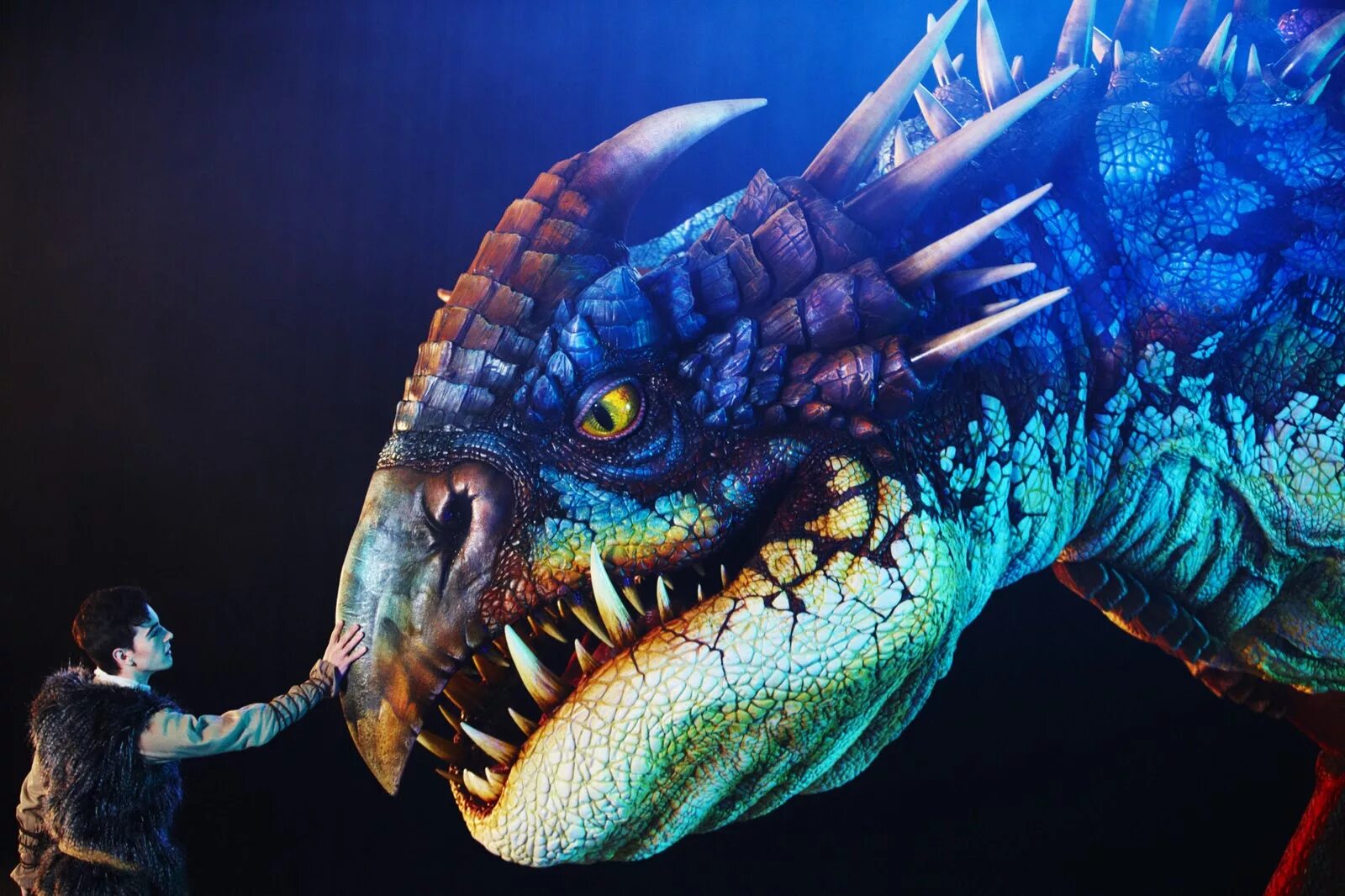 приручить дракона 3 беззубик. монстр беззубик беззубик монстр. драконов ночная фурия. дракен в реальной жизни. как приручить дракона 2 беззубик.