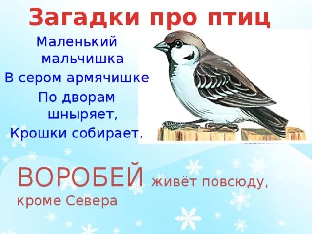 Мальчишка в сером армячишке ответ. Мальчишка в сером армячишке ответ