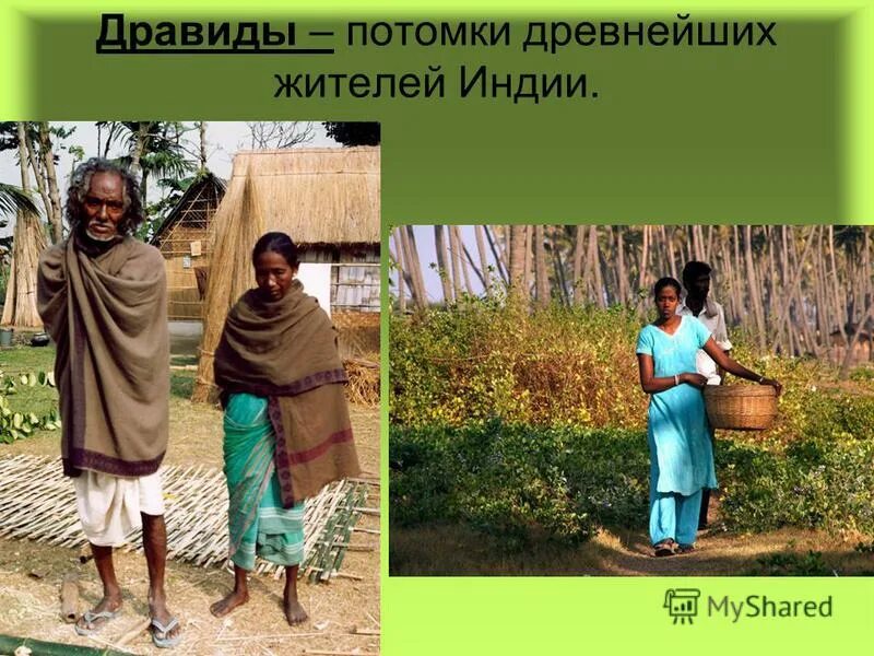 управление древним римом. хамиты семиты иафетяне. потомки дравидов. потомки древних жителей. потомки древних жителей.