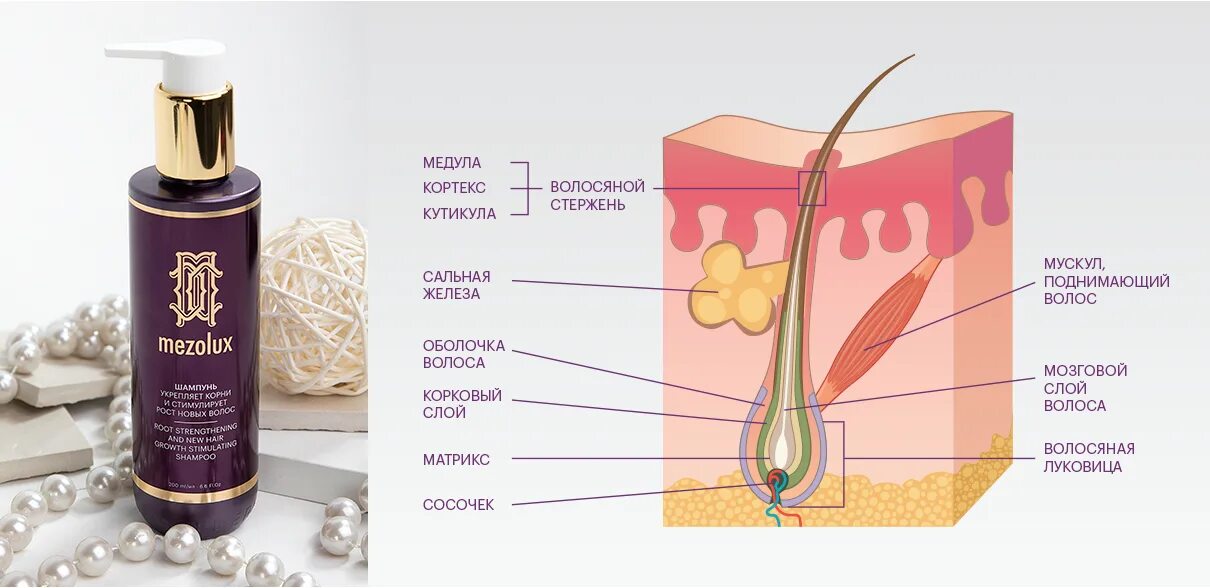 Для роста новых волос. Волосяная луковица. Для роста волос. Средство для укрепления луковиц волос. Средство для укрепления волосяных луковиц.