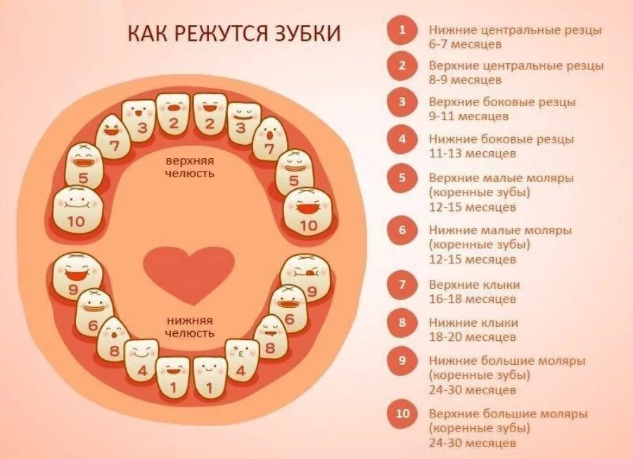 Верхние зубы во сколько у детей. Порядок прорезывания молочных зубов. порядок прорезывания молочных зубов схема. молочные зубы схема прорезывания. порядок роста молочных зубов у детей схема.