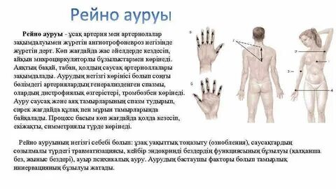 Достық - бұл керемет секс