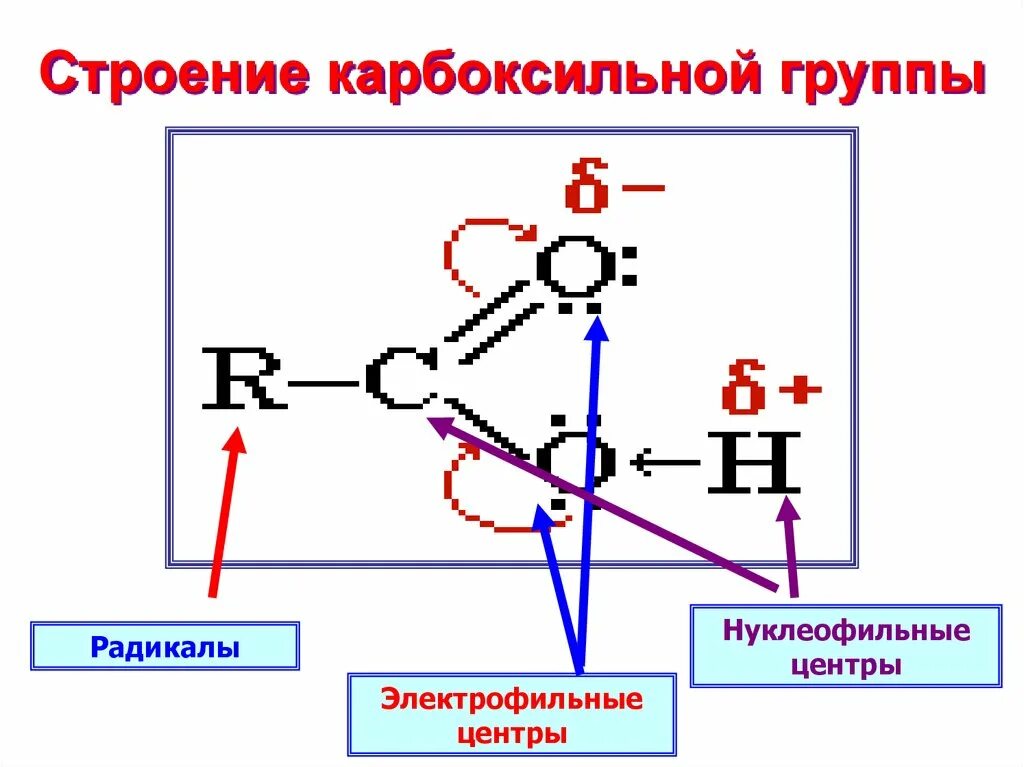 Строение первой карбоксильной группы. Строение карбоновых кислот. Строение карбоксильной функциональной группы. Структура карбоксильной группы. Карбоксильная группа свойства