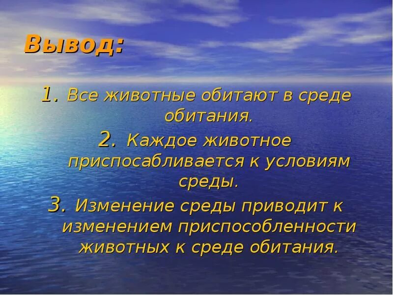 Разнообразие животных вывод. Среда обитания. Презентация условия среды. Условия обитания животных.