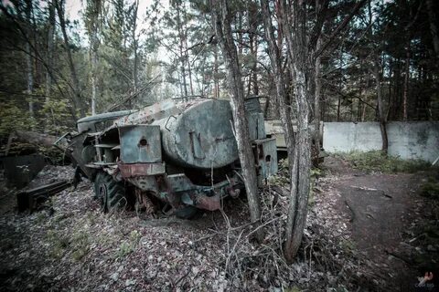 Поиск забытых