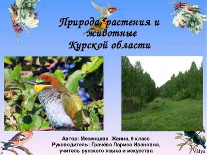 Разнообразие природы окружающий мир 3 класс видеоурок