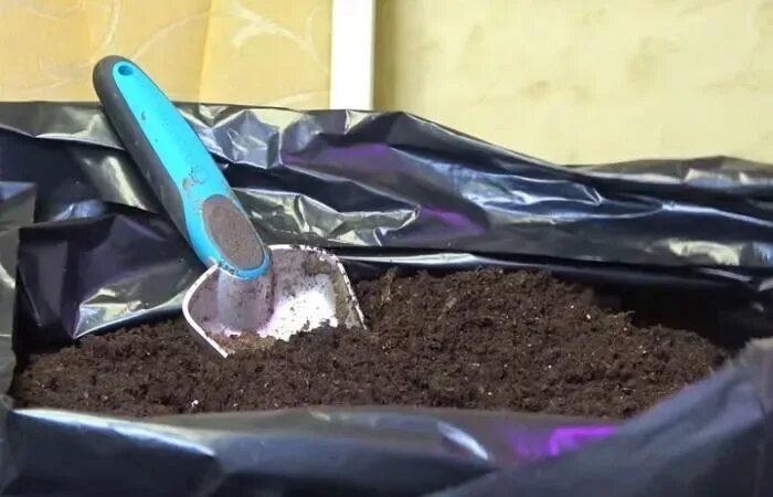 Чем обработать землю перед посевом семян