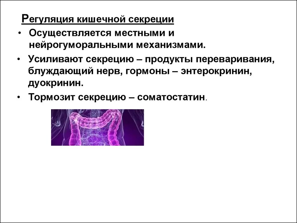 Sec система секреции. Регуляция секреции кишечного сока. регуляция секреции кишечного сока физиология. 22. регуляция кишечной секреции.. регуляция кишечной секреции местные механизмы.