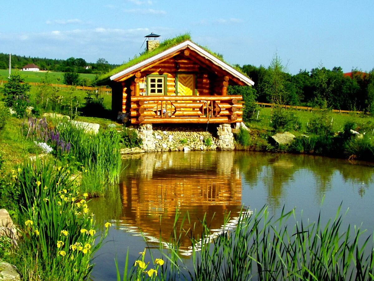Уютный домик банька в деревне у реки. Домик у пруда. Деревенский домик у озера. Домик у речки. Водоемы рядом с домом