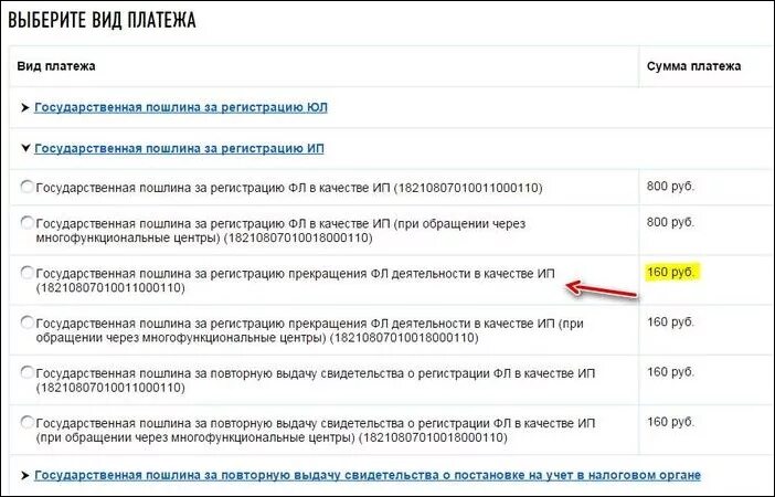 Сразу закрыть ип. Вид платежа на закрытие ИП. Оплата госпошлины при закрытии ИП. Требования к закрытию ИП. Документы для закрытия ИП через МФЦ.