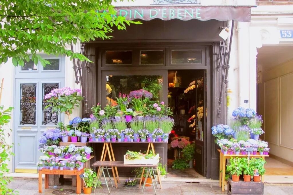 13 цветочный магазин. Гарден Флауэрс магазин цветов. Витрина цветочного магазина. Цветочный магазин с садом. Стиль цветочного магазина.