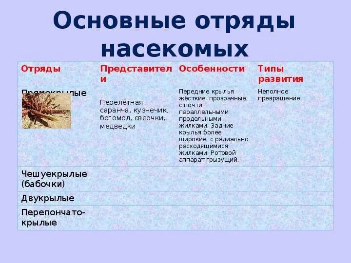 Отряд насекомых тип развития. Признаки отрядов насекомых таблица. Таблица сравнительная характеристика класса насекомые. Отряды класса насекомые и их представители. Биология 7 класс характеристика отрядов класса насекомые.