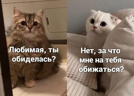 Это ты что обиделась