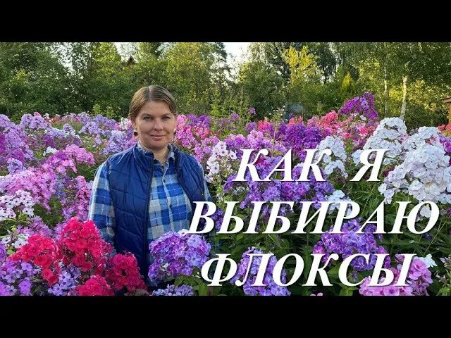 Флокс калугина. Сад Анны Калугиной. Сад флоксов Анны Калугиной каталог на 2023. Мир флоксов Анны Калугиной.