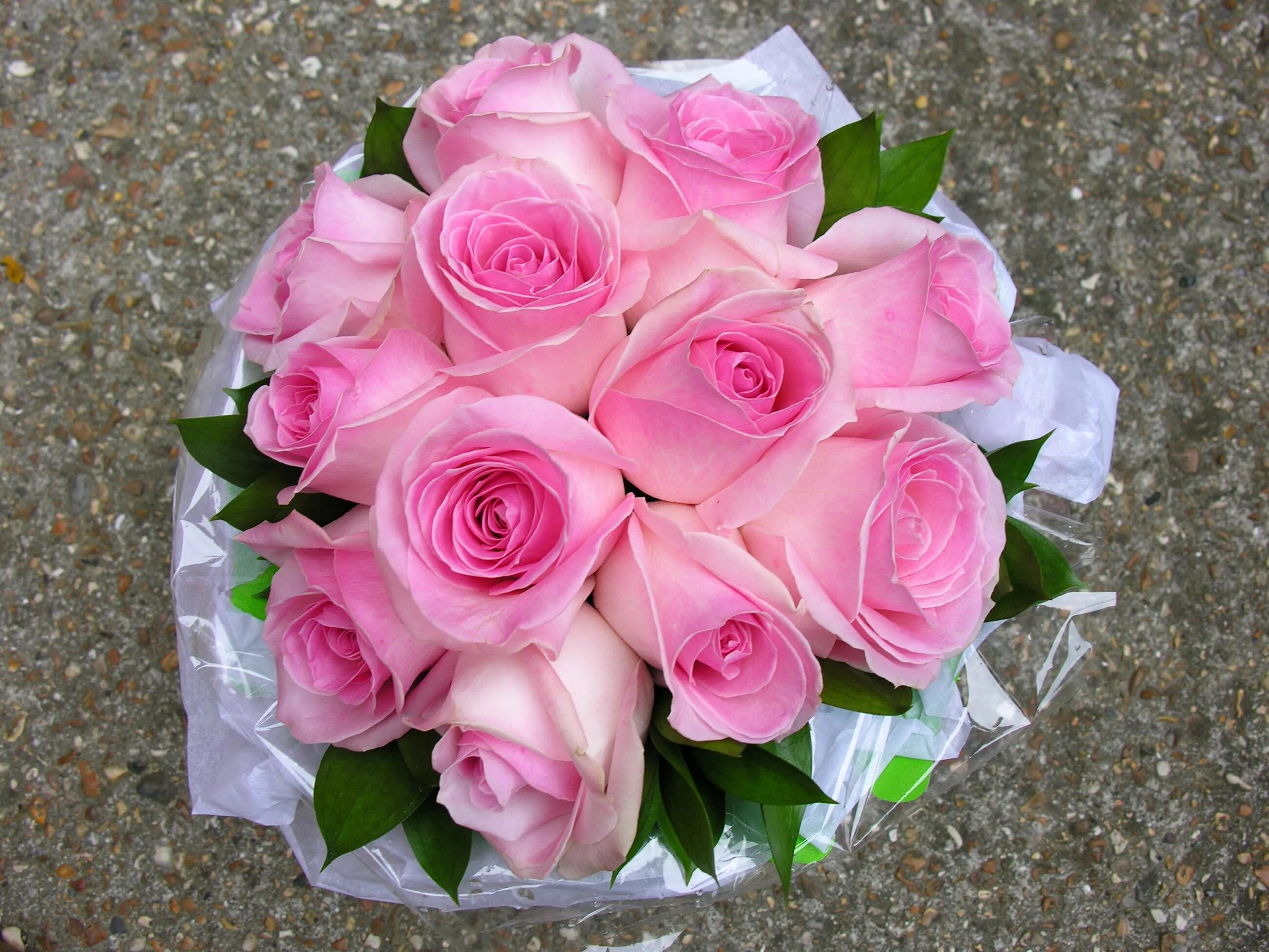 Roz. Красивый букет. Шикарный букет цветов. Красивый букет роз.