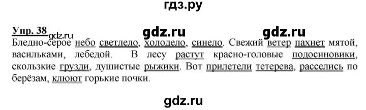 Русский язык стр 19 упр 38. Русский язык 6 класс быстрова. словарный диктант по русскому 6 класс быстрова.